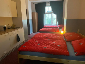 Summer HOSTEL